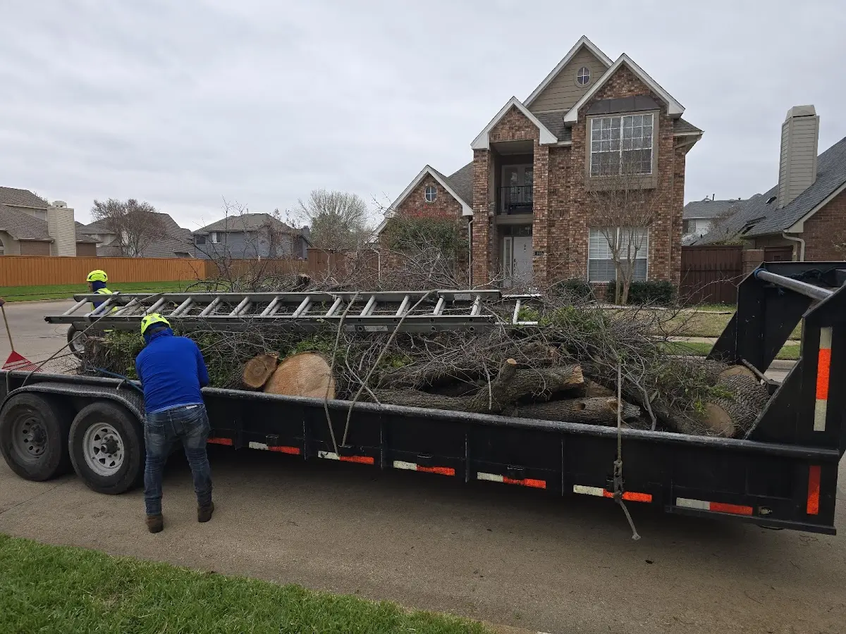 Expert Tree Fertilization with proper safety equipment in Lockport